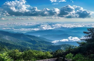 琉璃川山腰观景台俯瞰全谷，山脉层叠延伸至天际，云海在谷底翻涌，视野开阔壮观，自然景色震撼人心